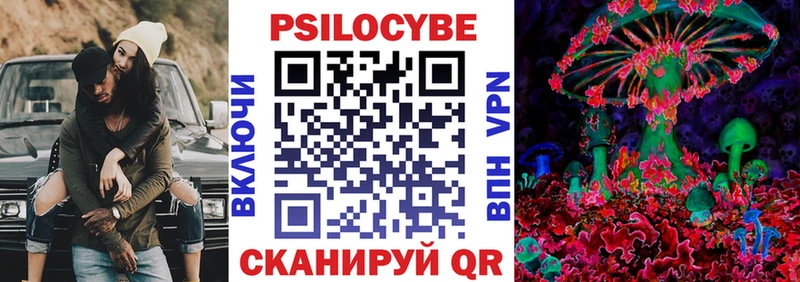 Галлюциногенные грибы Psilocybe Новомичуринск